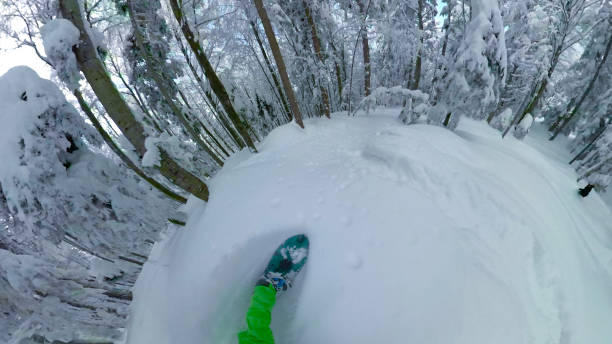 pov: tallar la nieve fresca a través del impresionante bosque de coníferas en los alpes. - snowboard non urban scene woods snowboarding fotografías e imágenes de stock