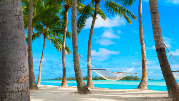 istock COPY SPACE: Gentle summer breeze swinging the rope hammock under the palm trees. 1182824710