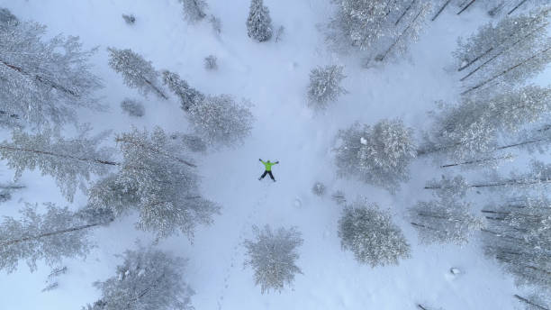 istock AERIAL TOP DOWN: Girl making snow angles in pine forest mountain in white winter 1182825514
