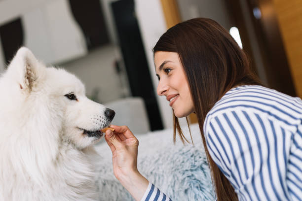 istock Young woman hugging dog at home 1182826841