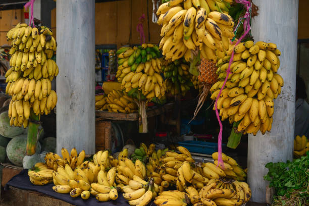 istock Sri Lanka Tangalle 1182827100