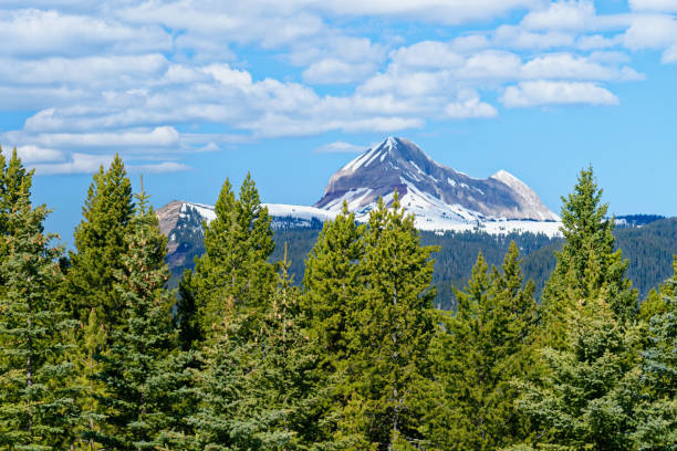 istock Scenery along the San Juan Skyway, Colorado 1182827965