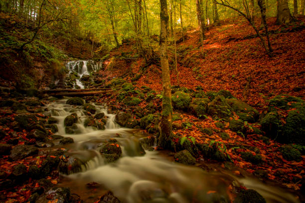 istock Impressive autumn, landscape with river flowing over rocks in forest 1182829683