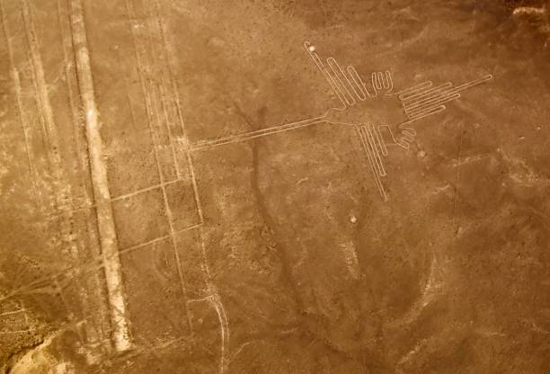 vue panoramique d'avion aérien aux lignes de géoglyphe de nazca aka colibri, ica, pérou - zoomorphic photos et images de collection