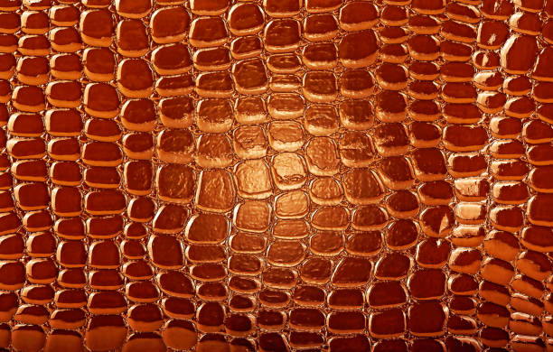 istock Abstract image of brown crocodile leather, as background. Top view surface in backdrop. 1182830476