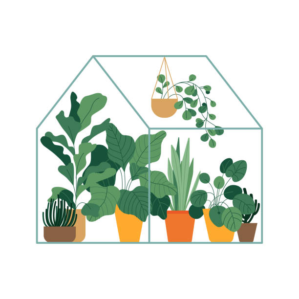 ilustraciones, imágenes clip art, dibujos animados e iconos de stock de ilustración vectorial en estilo simple plano - invernadero con plantas - greenhouse