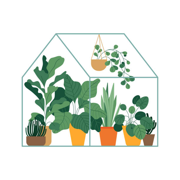 Vector illustration in flat simple style - greenhouse with plants vector art illustration