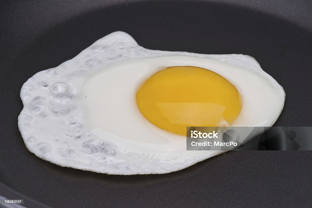 Fried Egg Over Easy  Animal Egg Stock Photo