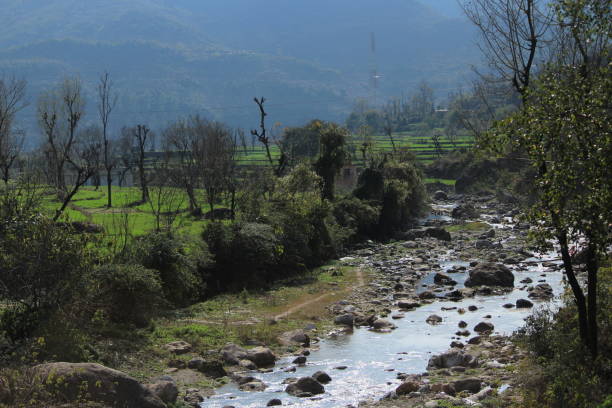 istock Water Flowing through rocks over mountains with Green valley Plants 1182833176