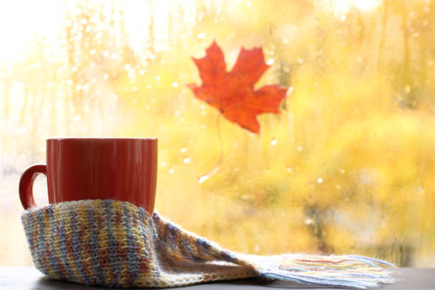 istock still life in autumn colors 1182833383