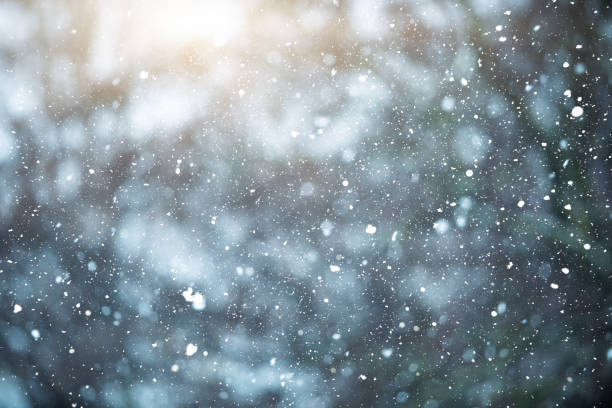 istock Winter scene - snowfall on the blurred forest background 1182834437