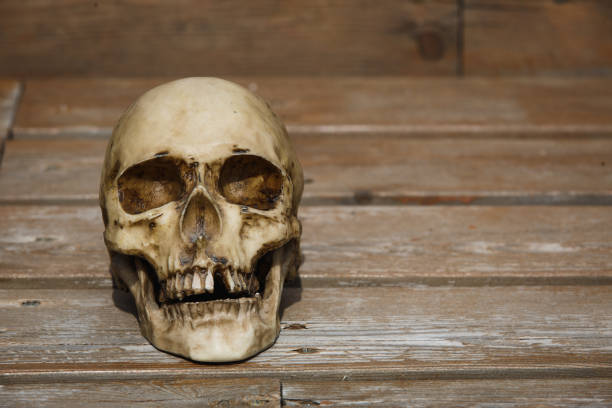 istock A human skull on a wooden background is illuminated by soft light. 1182834662