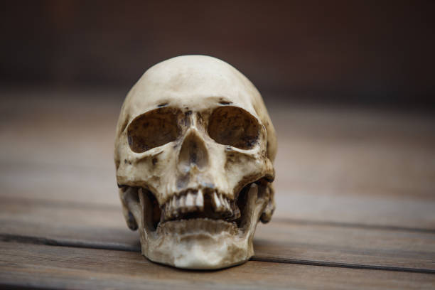 istock A human skull on a wooden background is illuminated by soft light. 1182834677