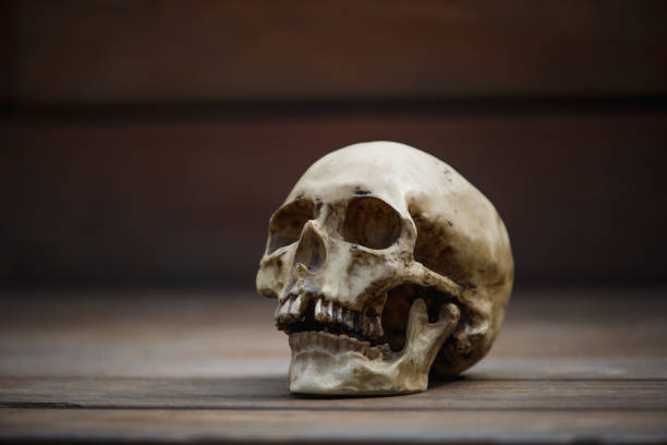 istock A human skull on a wooden background is illuminated by soft light. 1182834690