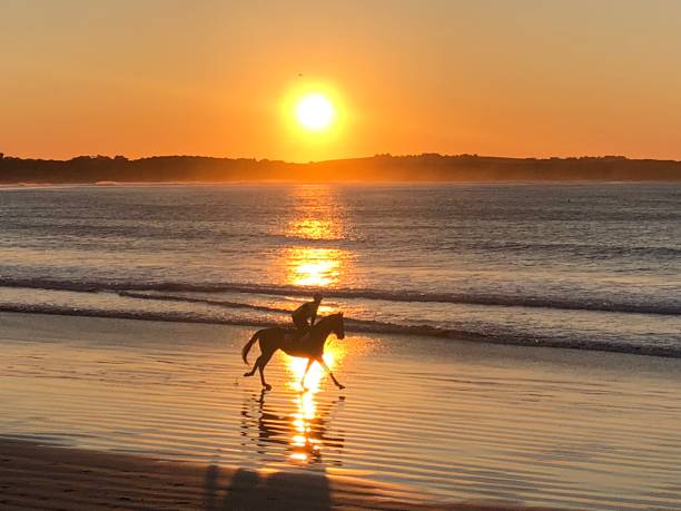 istock Good morning Warrnambool Australia 1182836457