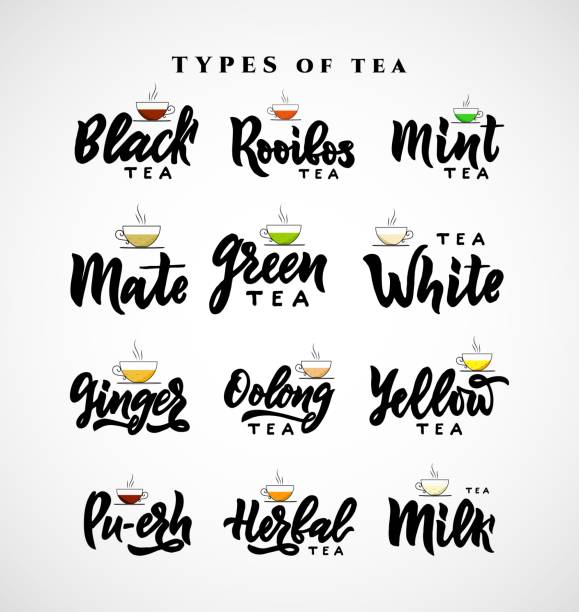 ilustraciones, imágenes clip art, dibujos animados e iconos de stock de establezca diferentes tipos de nombre de té. letras de caligrafía a mano. ilustración vectorial. - yerba mate package hot drink food