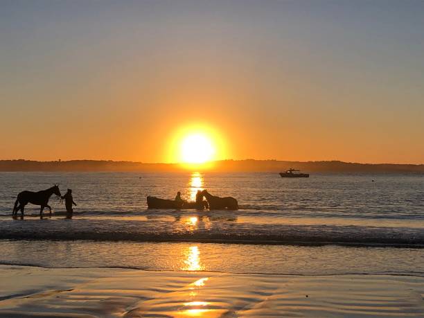 istock Morning sunrise photos Warrnambool Australia 1182836671