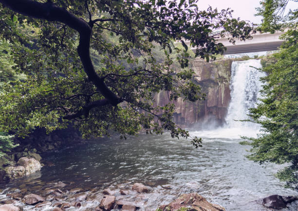 istock big tree branch above mountain river with waterfall on background 1182838020