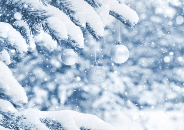 istock Winter scene in the forest 1182842441