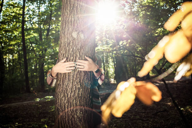 istock woman hands hugging a tree - fight climate change, save planet earth 1182843084