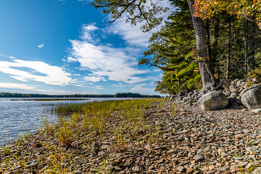 Pebbles on the shore in Kejimkujik National Park, Canada