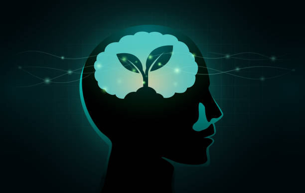 ilustrações de stock, clip art, desenhos animados e ícones de small tree growing in human brain. illustration about growth mindset concept. - contemplation silhouette tree men