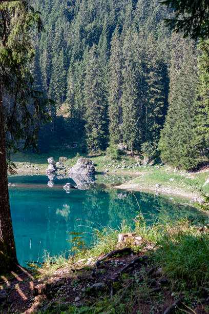 istock Lake Carezza (karersee), Nova Levante, South Tyrol. 1182845677