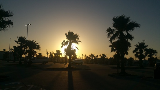 A photo I took from one of my abroad vacations, Galveston Island next to Houston/Texas. Palm trees in front of the setting down sun is a fascinating view.