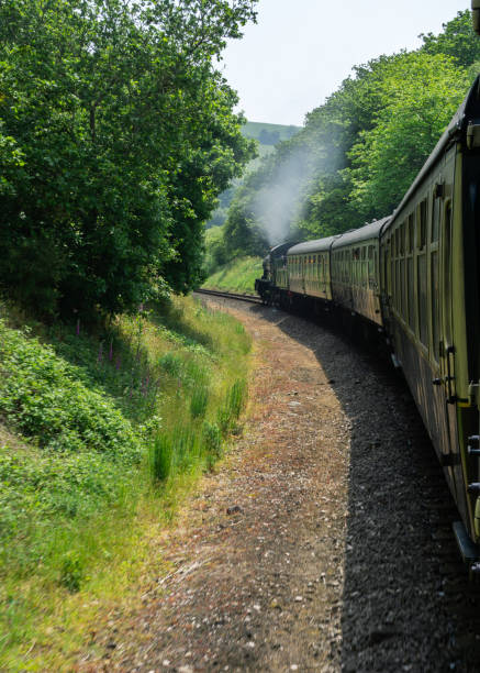 istock Old steam train on the way to station 1182851574