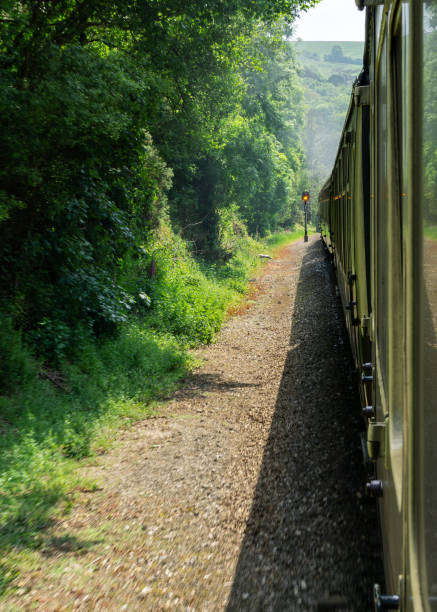 istock Old steam train on the way to station 1182851621