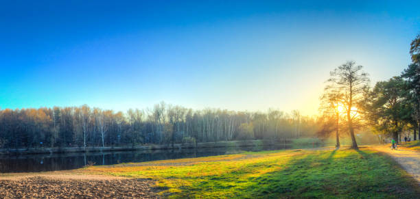 The blue evening sky, the setting sun, illuminates the yellowing grass through the branches of a tree\nAutumn landscape yellow orange red leaves.
