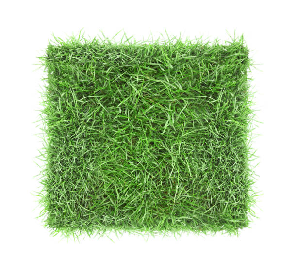 istock Square piece of green grass field top view isolated. 1182856748