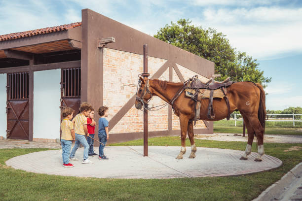 Friends riding a horse at a Ranch in Mexico