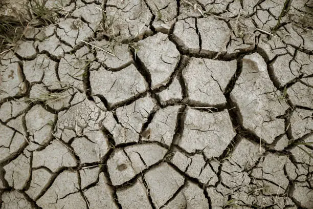 Danger Global Warming concept. Close up of cracked soil with dried grasses at dry season