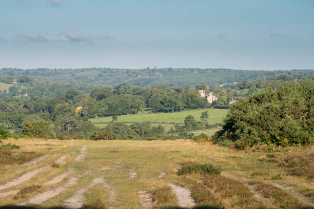 istock Ashdown Fores, East Sussex, UK 1182861625