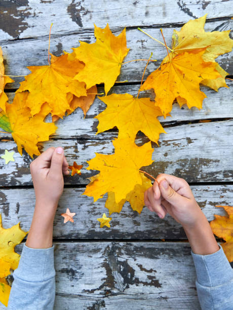 istock Hands with Autumn Leaves over wooden background 1182863885