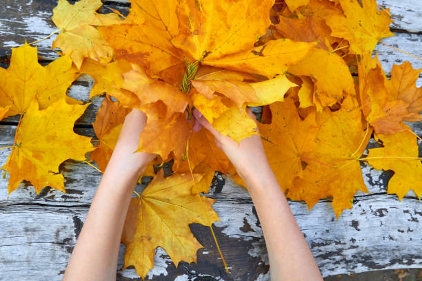 istock Hands with Autumn Leaves over wooden background 1182865125