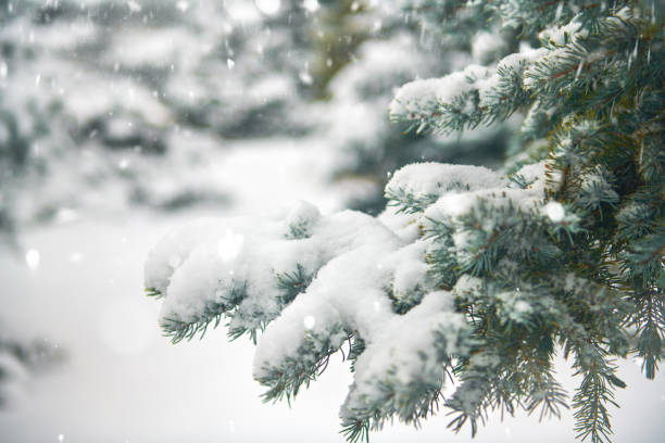 istock Beautiful winter landscape with snow covered trees 1182865154