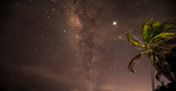 istock Milky Way and Palm trees. 1182865369
