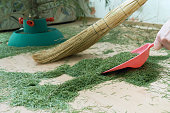 Cleaning the floor from dry fallen Christmas tree needles after New Year holidays