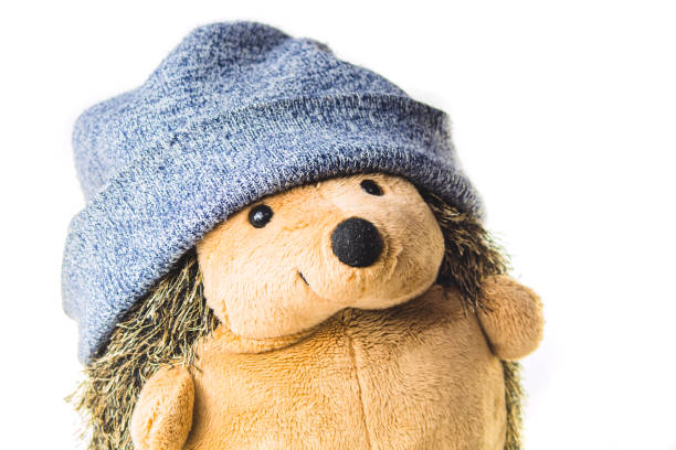 Plush hedgehog in a hat. soft toy on a white background