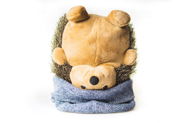 istock Plush hedgehog in a hat upside down. soft toy 1182867386
