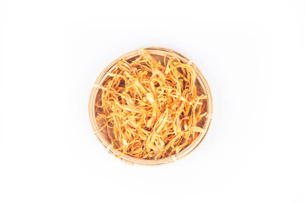 fresh cordyceps flowerfungi food - ascot imagens e fotografias de stock