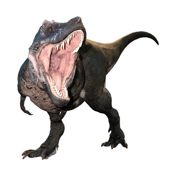 istock 3D illustration dinosaur Tyrannosaurus Rex on white 1182871536