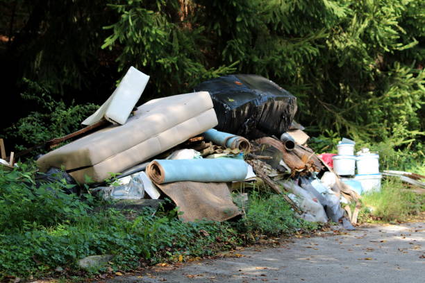 istock Illegal garbage dump near local paved forest road filled with domestic garbage surrounded with tall grass and forest vegetation 1182872180