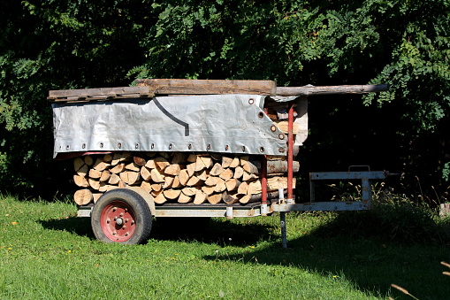 Homemade improvised tractor trailer made of strong metal stacked with prepared firewood and covered with tarpaulin for protection left in family house backyard surrounded with uncut grass and dense trees on warm sunny summer day