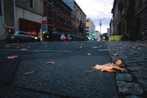 Autumn Street
