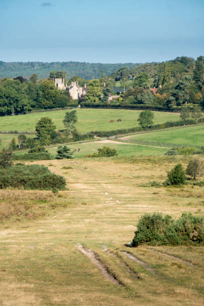 istock Ashdown Fores, East Sussex, UK 1182875104