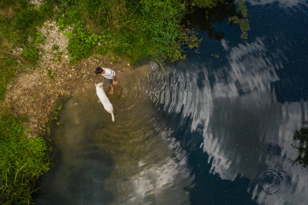 Directly above of pet dog and teenage boy standing in the river in nature