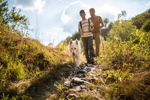 Teenage  boy and mature man hiking with their pet dog on sunny day